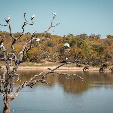 Maroelani Lodge- Greater Kruger Private Reserve Hoedspruit Exterior foto