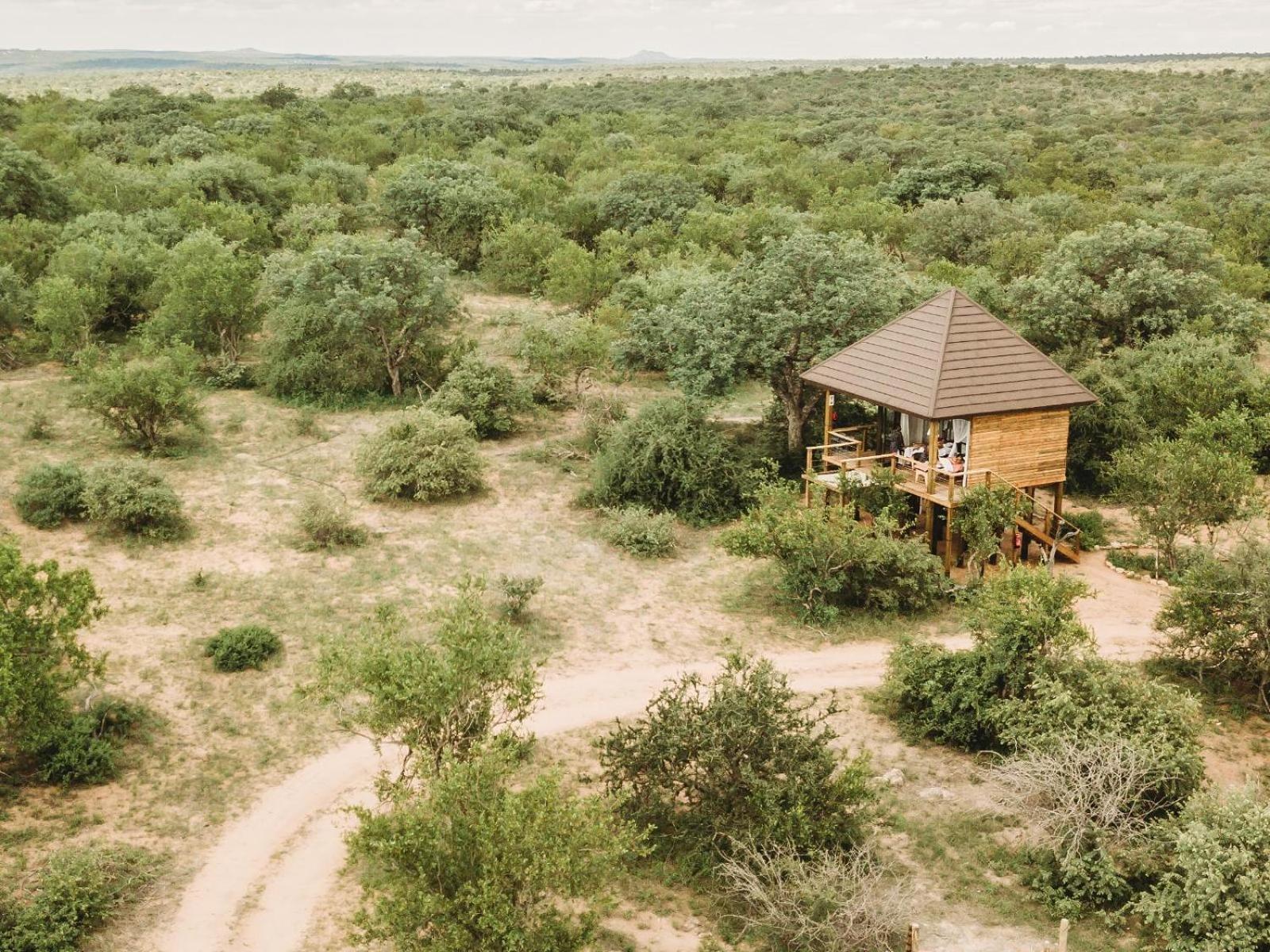 Maroelani Lodge- Greater Kruger Private Reserve Hoedspruit Zimmer foto