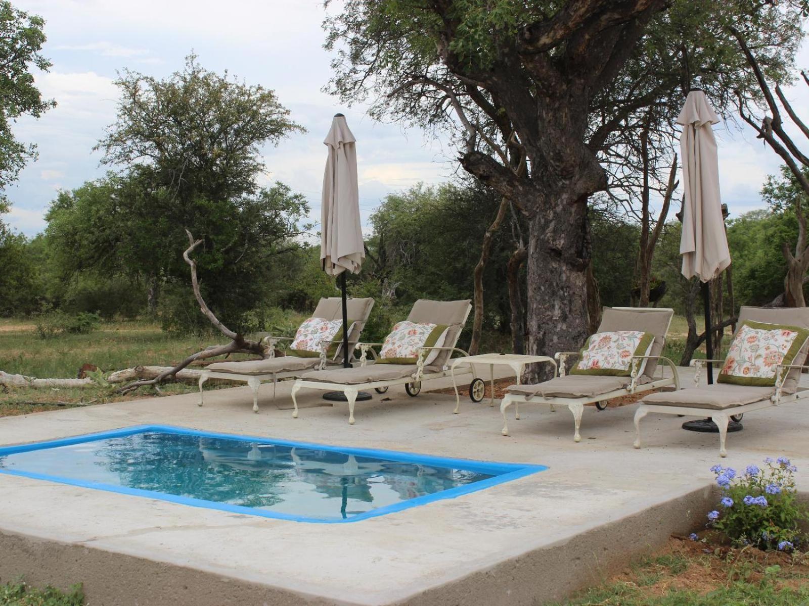 Maroelani Lodge- Greater Kruger Private Reserve Hoedspruit Zimmer foto